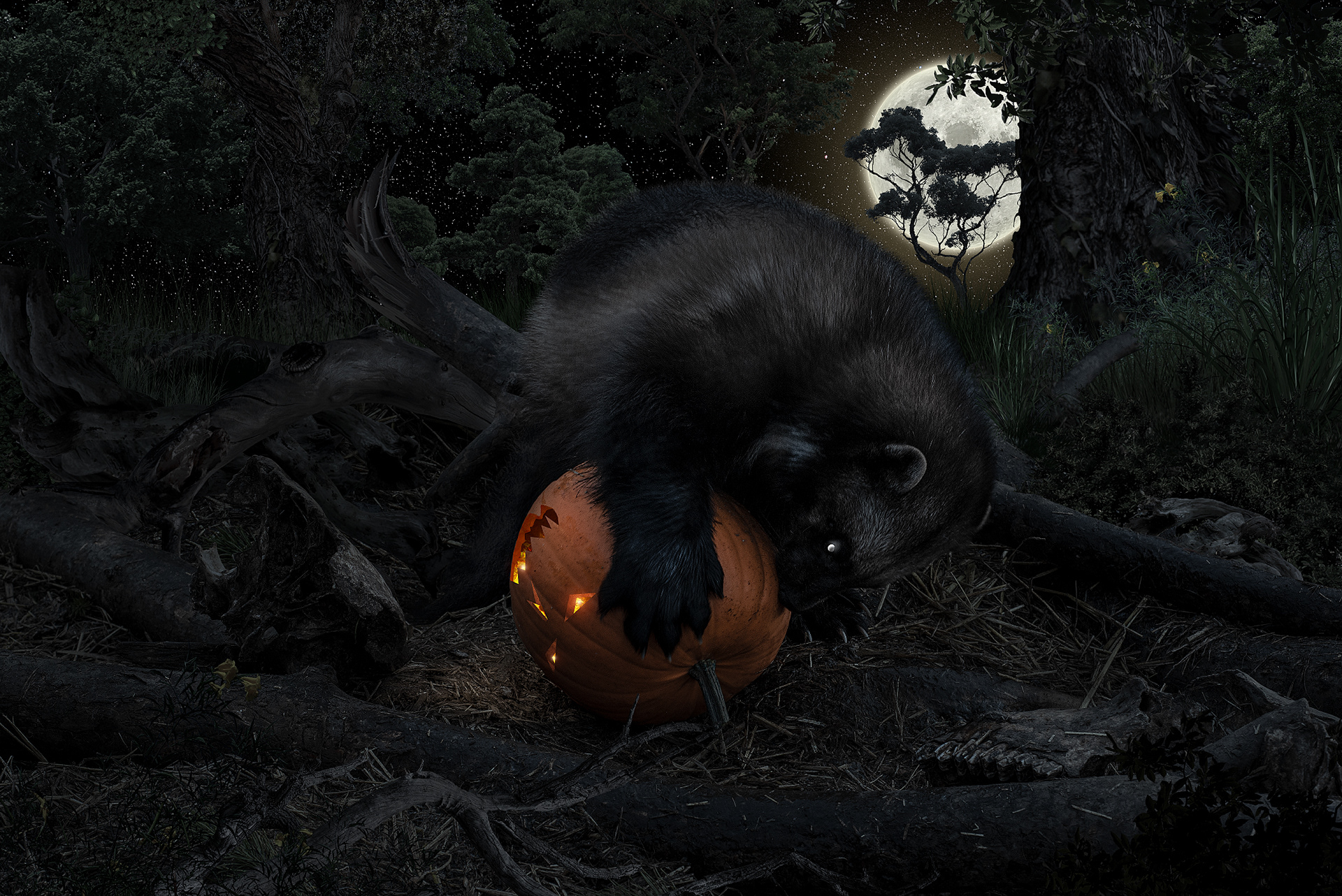 Профессиональный снимок росомахи на тему Halloween