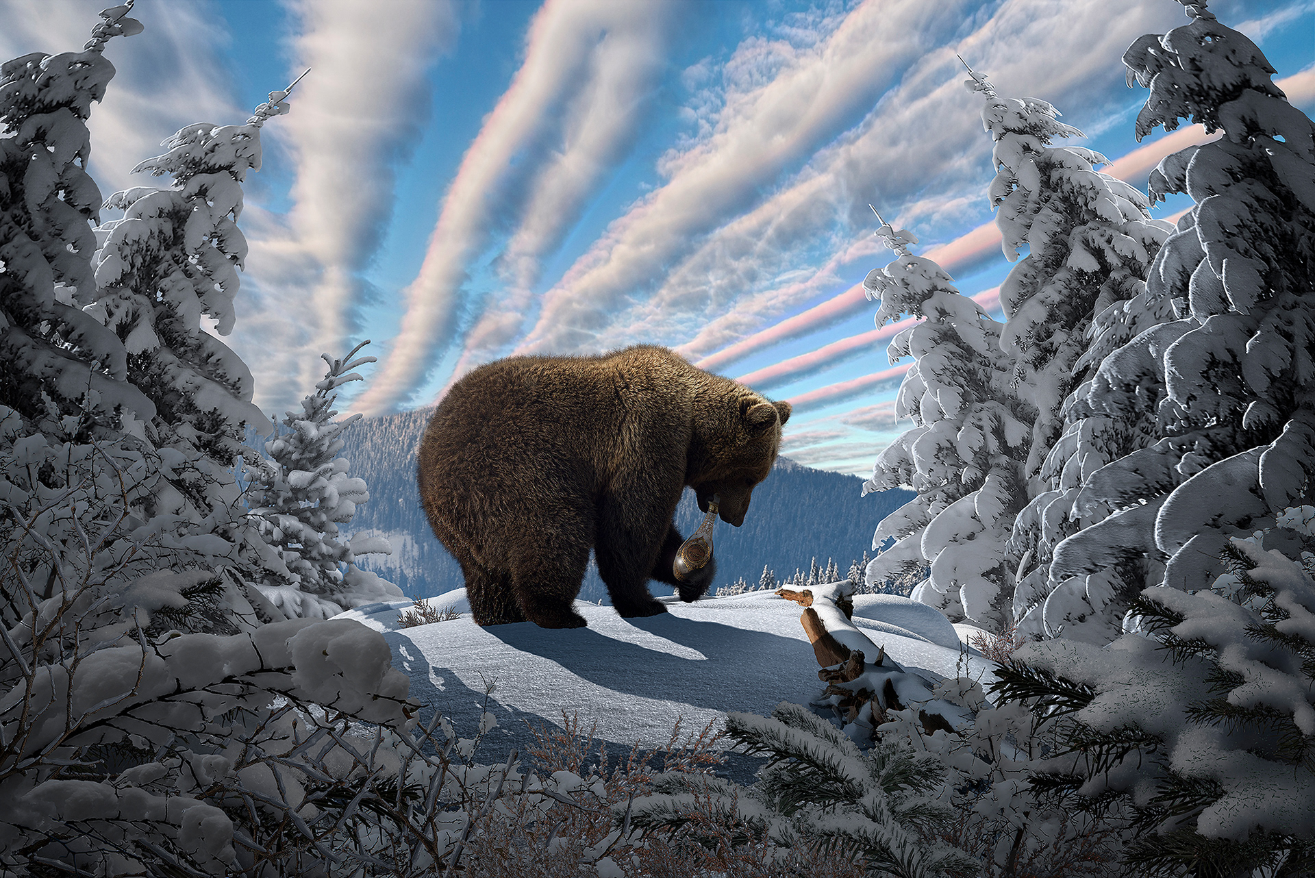 Профессиональный снимок медведя для рекламы мёда