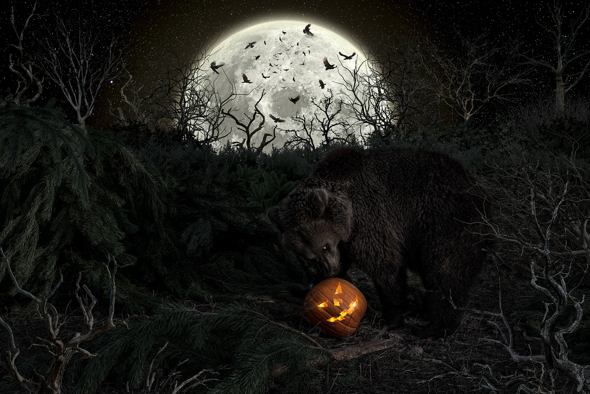 Профессиональный снимок медведицы на тему Halloween