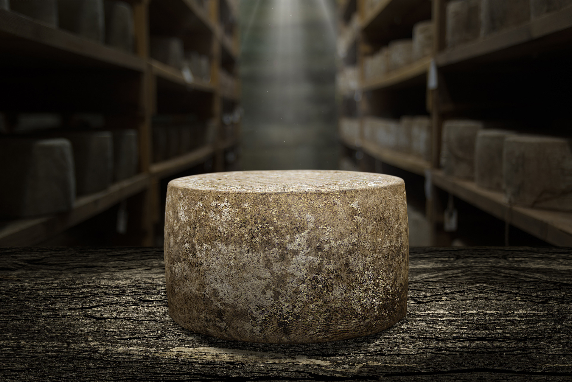 Профессиональный фотоснимок сыра для рекламы брэнда "Соболев сыр"