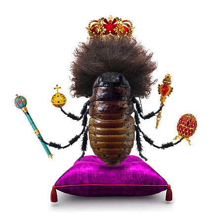 Индивидуальные курсы для тех, кто в ресурсе