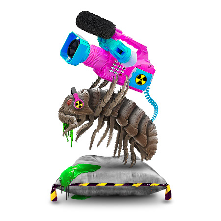 Видеошкола чисто для прикола