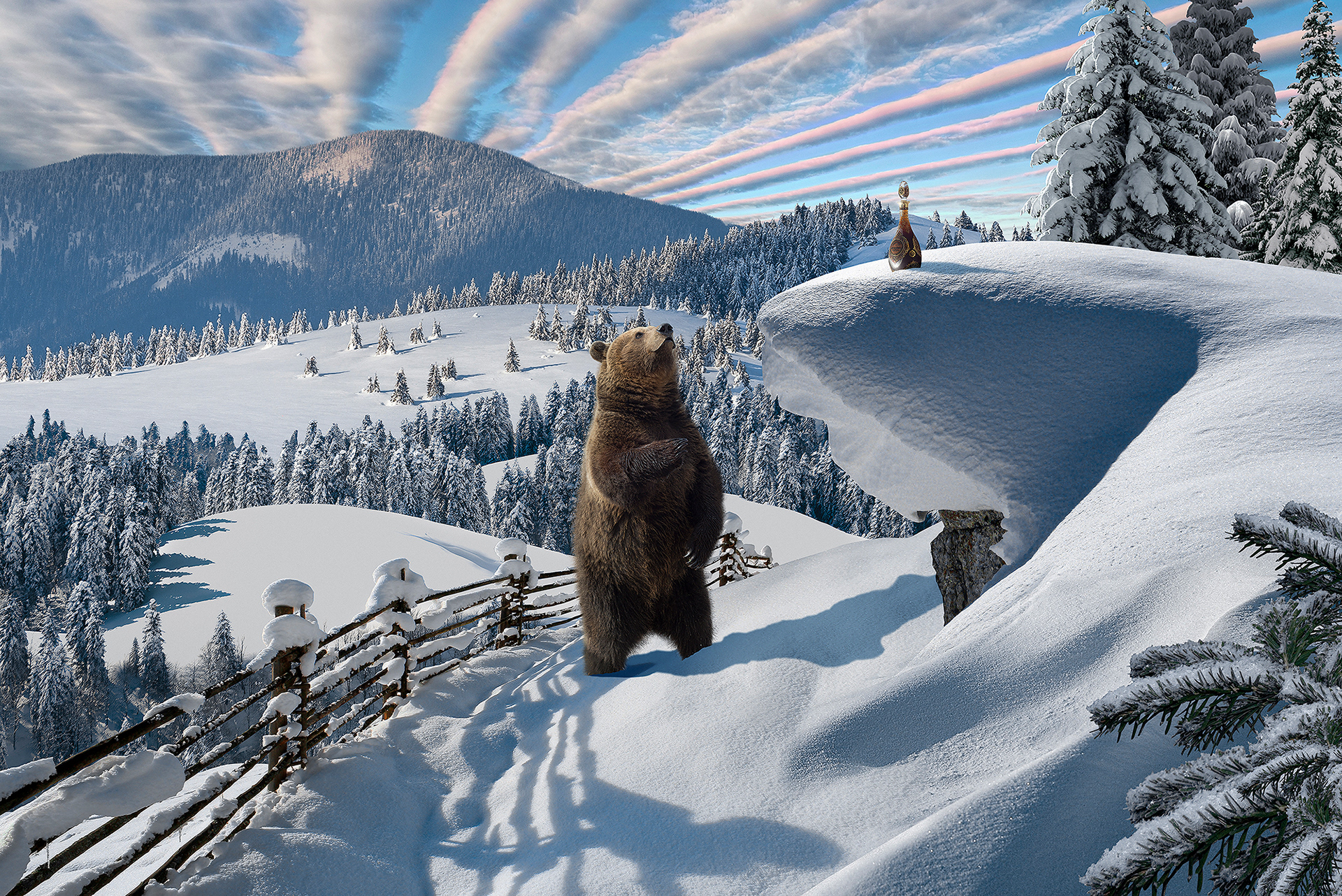 Профессиональный снимок медведя для рекламы мёда