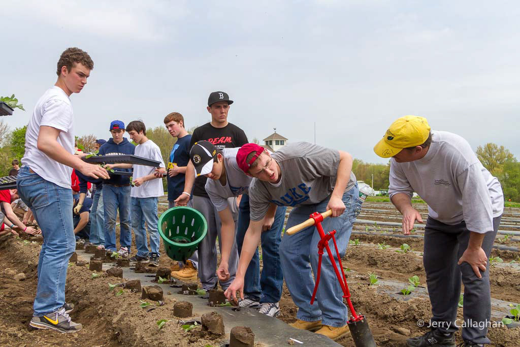 Community Harvest Project North Grafton, MA