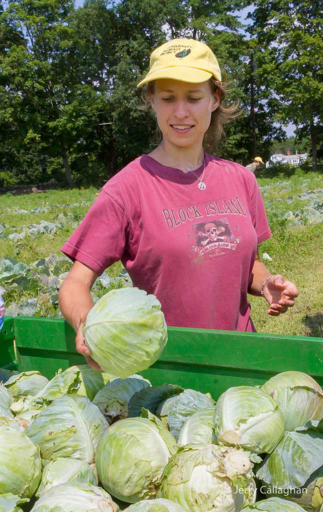 Community Harvest Project North Grafton, MA