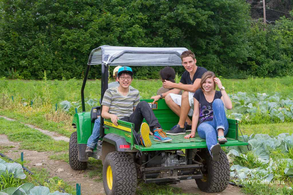 Community Harvest Project North Grafton, MA