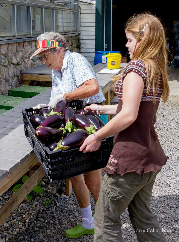 First Congregational Church volunteers at the Community Harvest Project North Grafton, MA