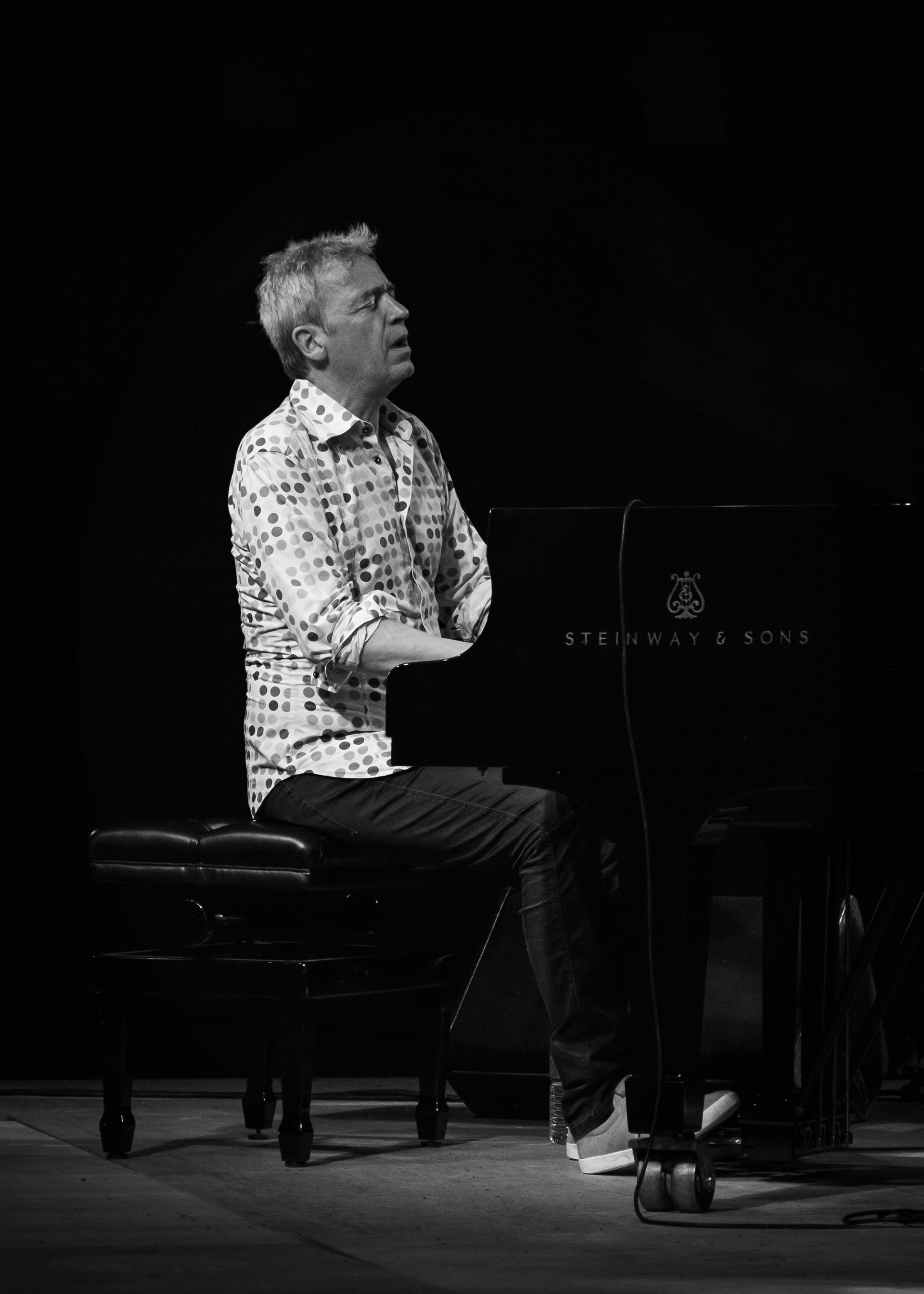 Laurent de Wilde
