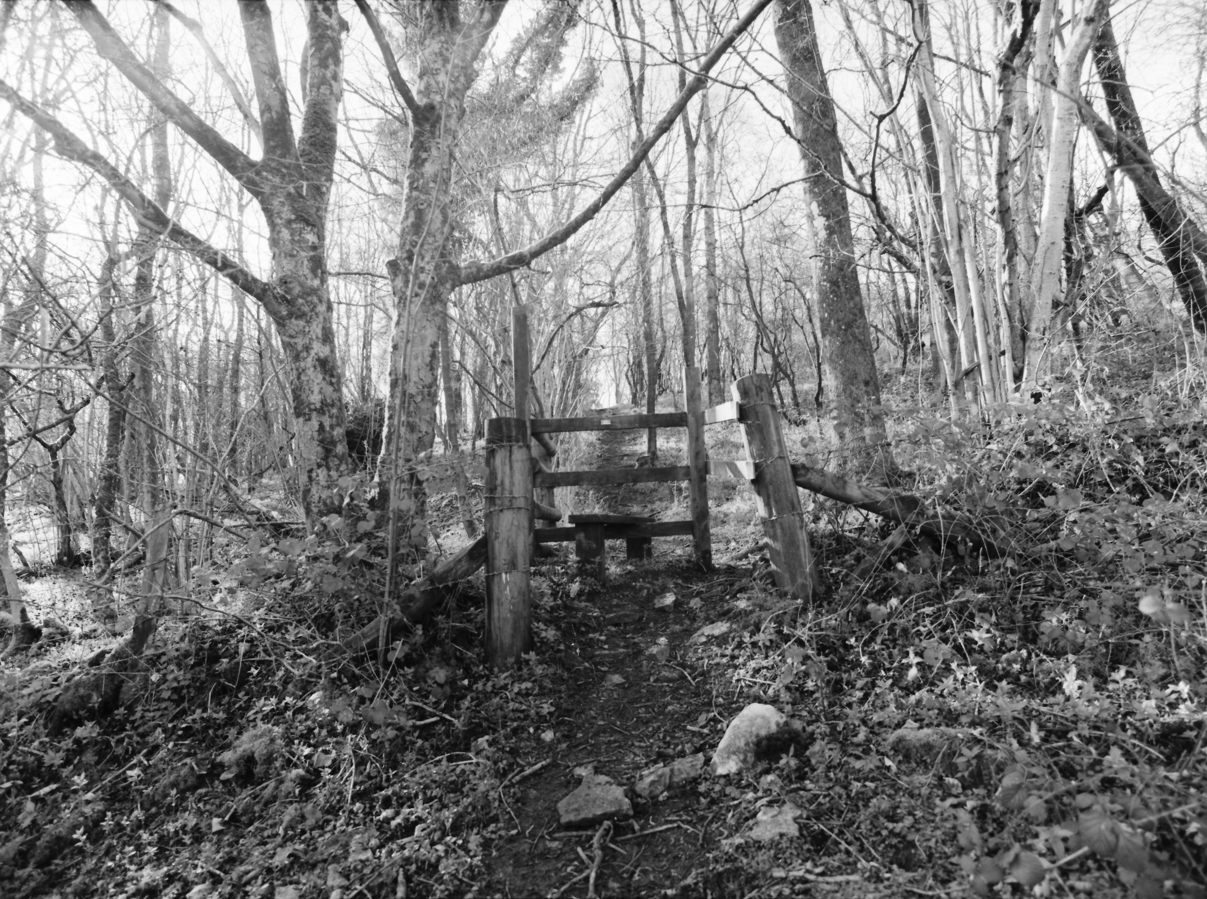 Prestbury reserve med format images gate - infrared film