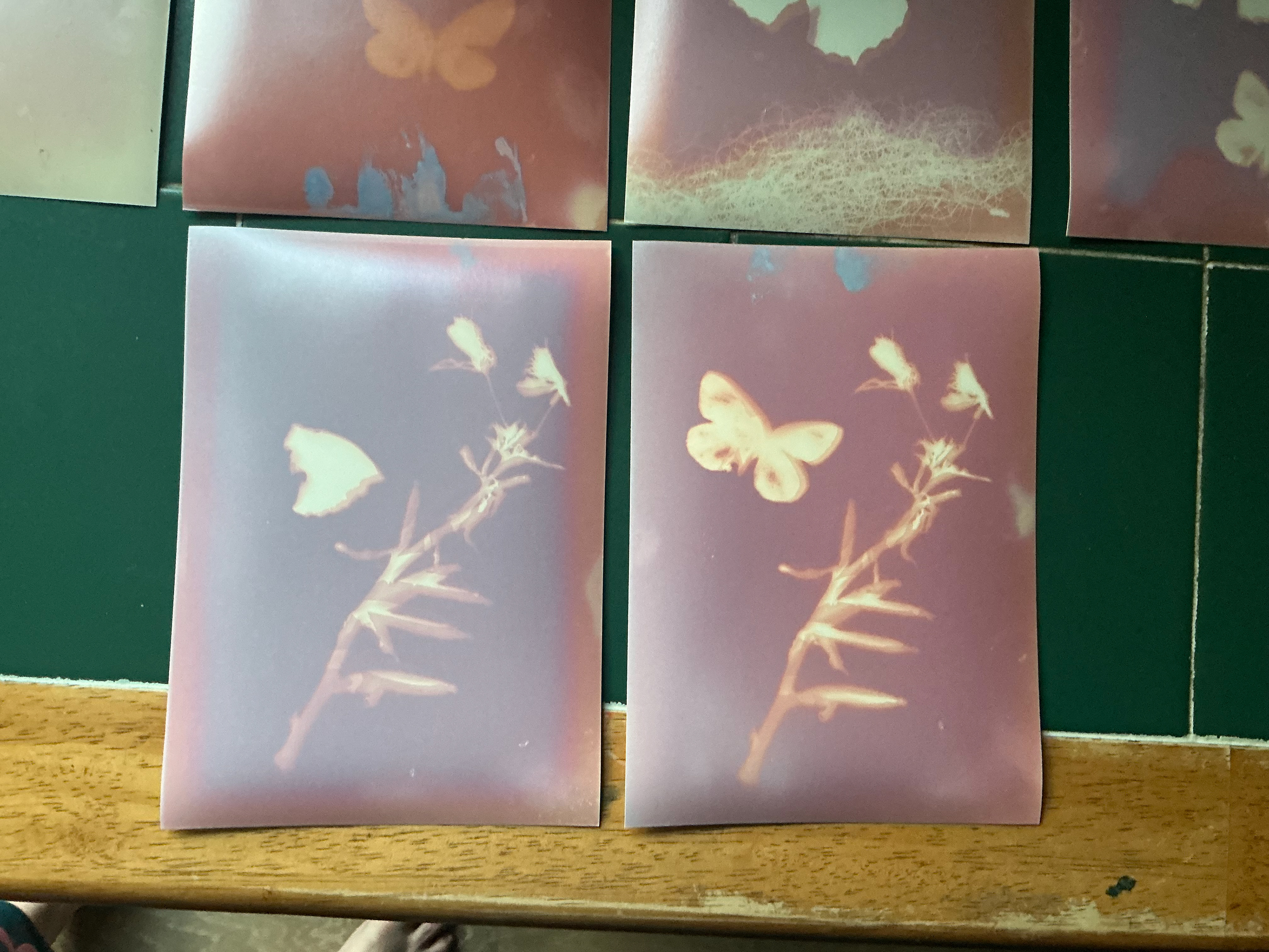 Un fixed sun prints small white and pressed flower 