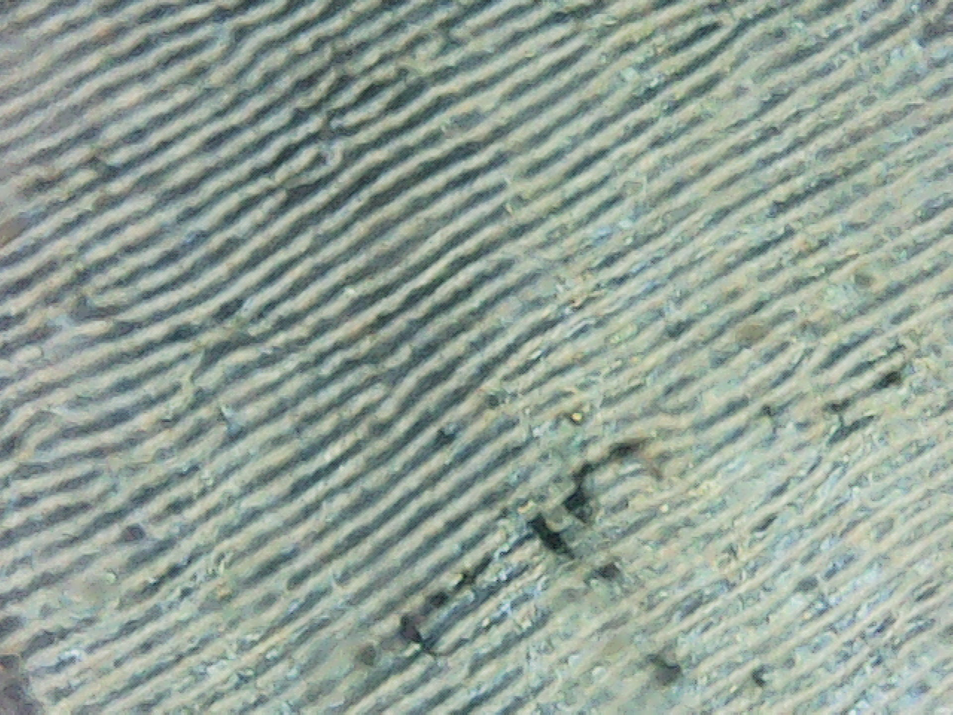 scales of butterfly wings