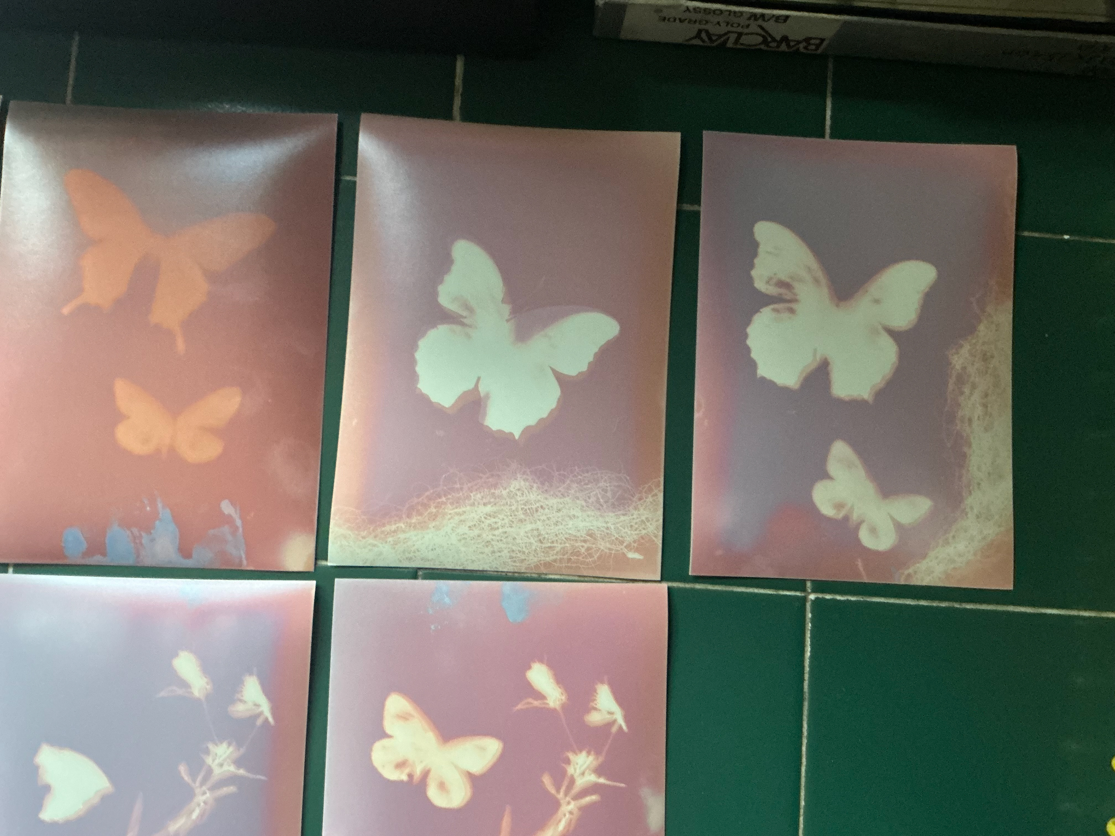 Unfixed lumin prints 