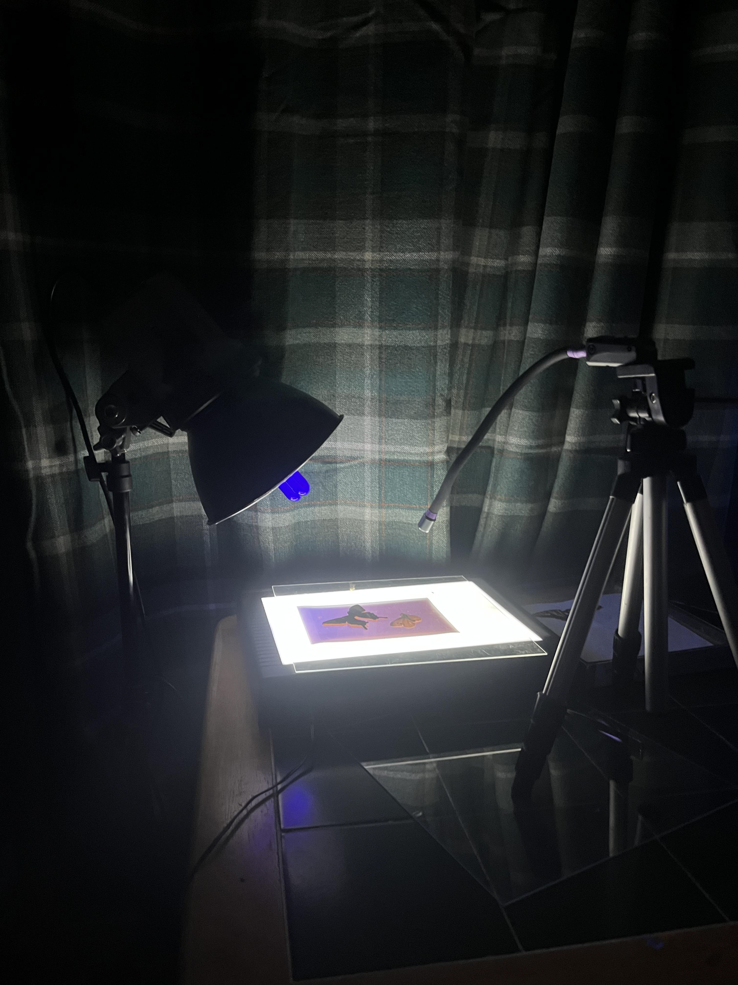 Studio set upat home/Making a sun print using my 2 uv lights and a light box 