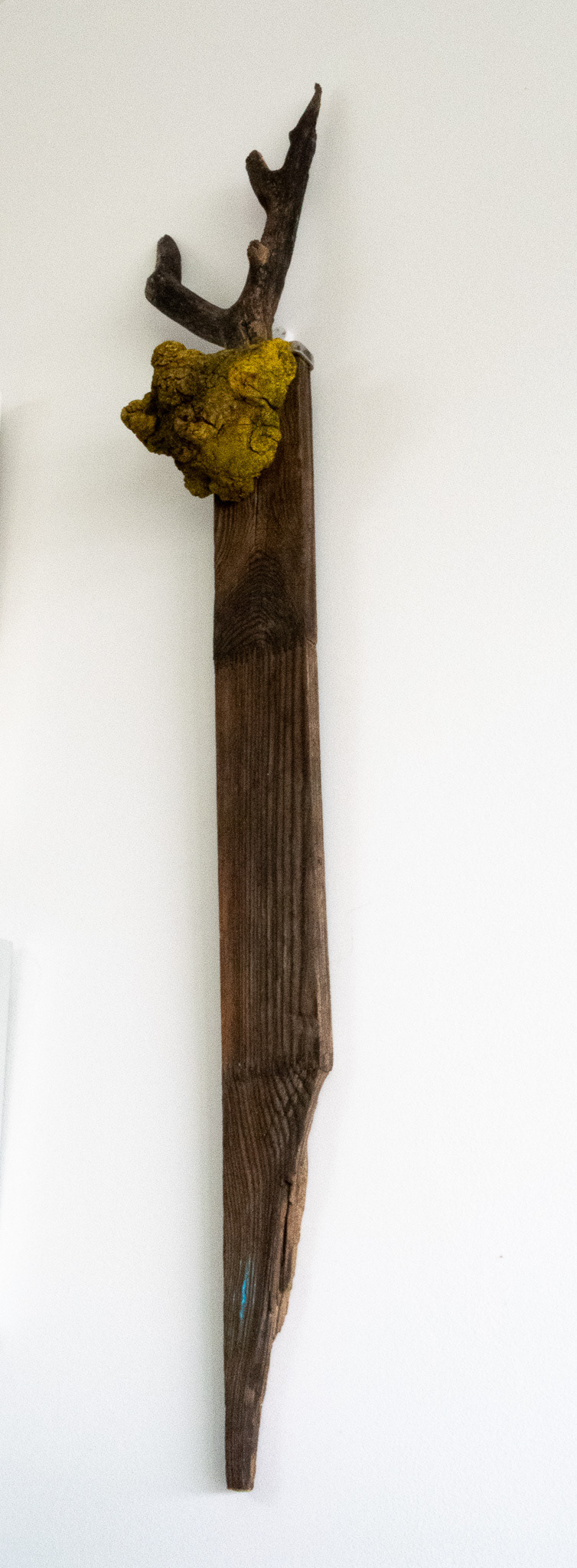 El guardián del pantano (2024). Assemblage de maderas. 95 cm. (alto) x 13 cm. (ancho) x 10 cm. (fondo)