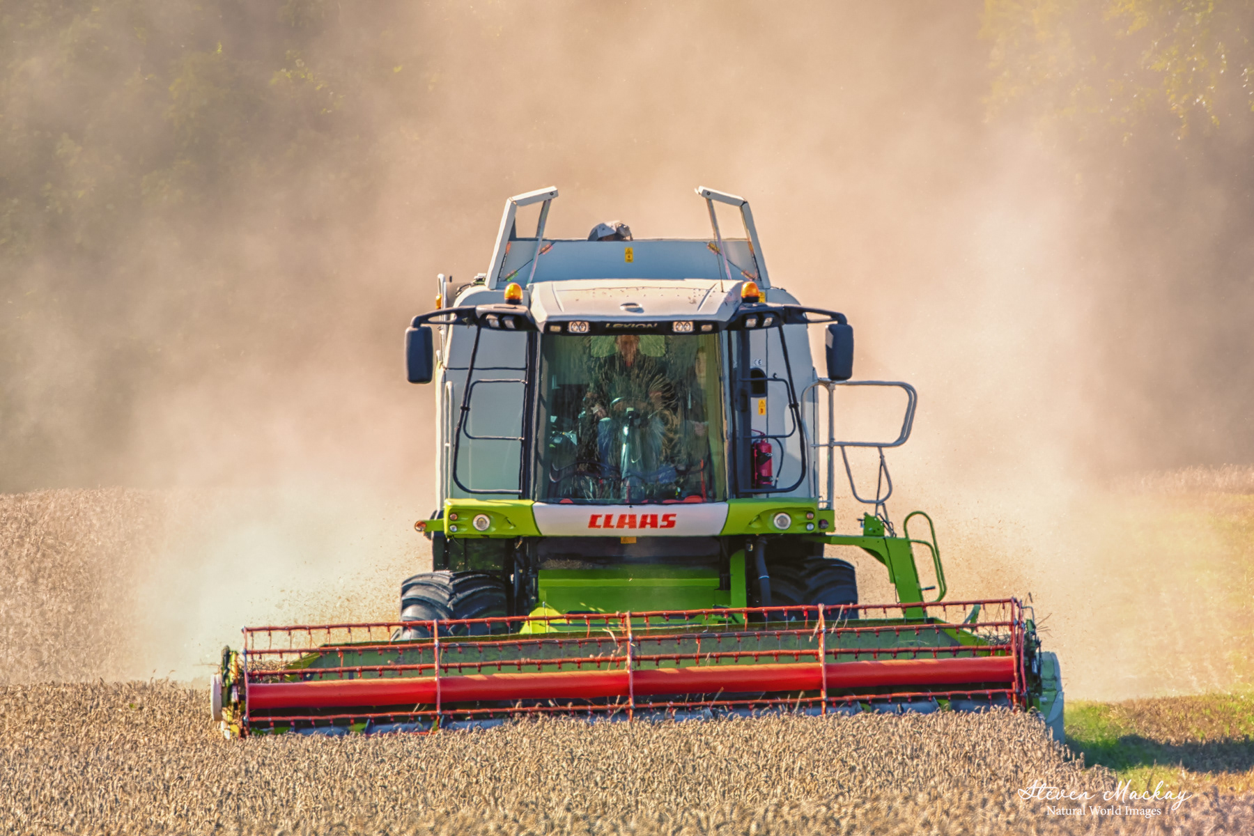 Harvest Time in the Wemyss