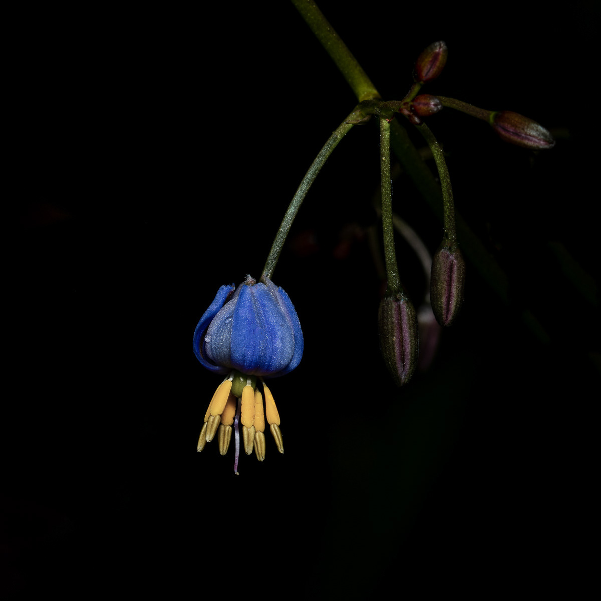 Colour in the darkness