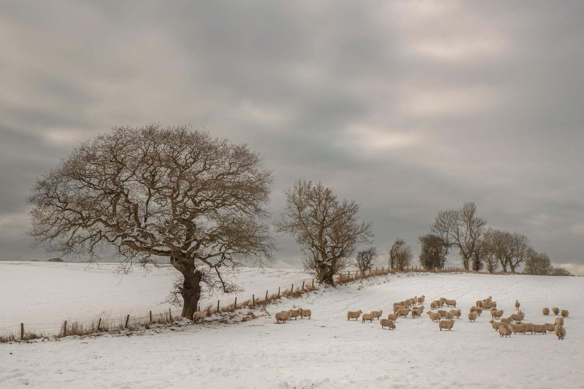 Winter in Coaltown of  Wemyss