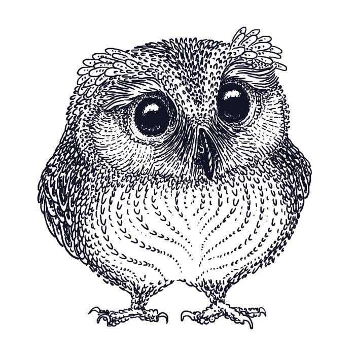 Worried Owl - private commission