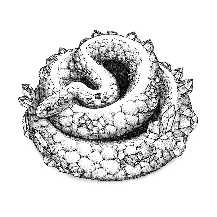 Diamondback