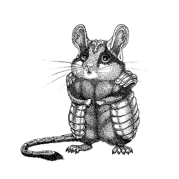 General Dormouse
