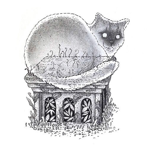 Ghost Cat