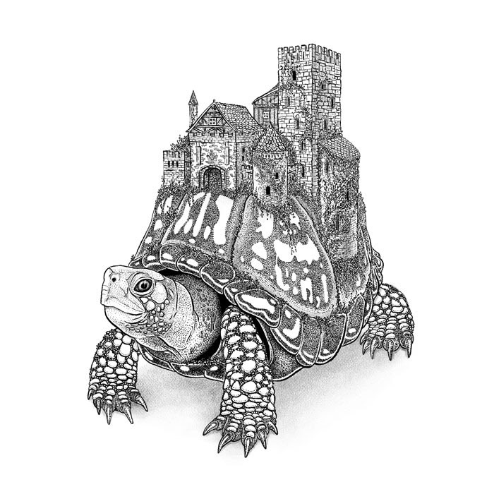 Crown of Turtledor