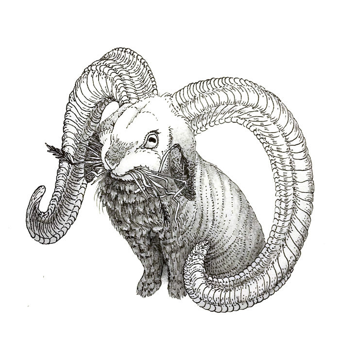 Lop-eared ram