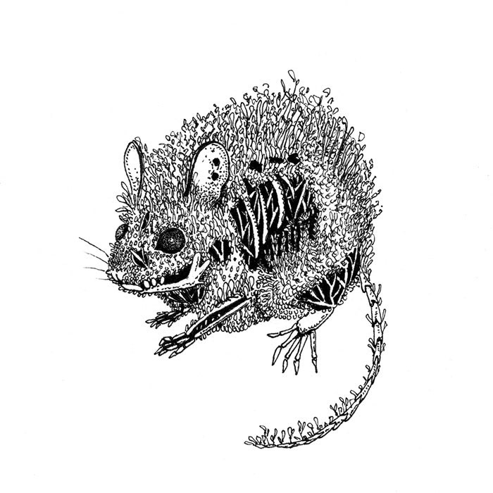 Mouse of Twigs and Bone