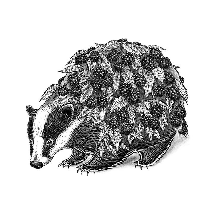 Badger Bush
