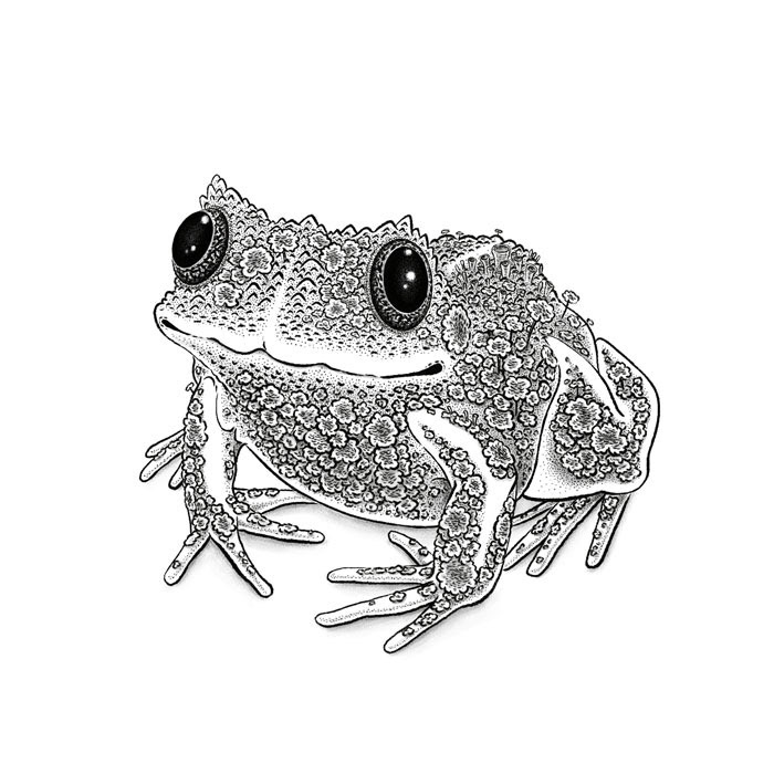 Mossy Frog