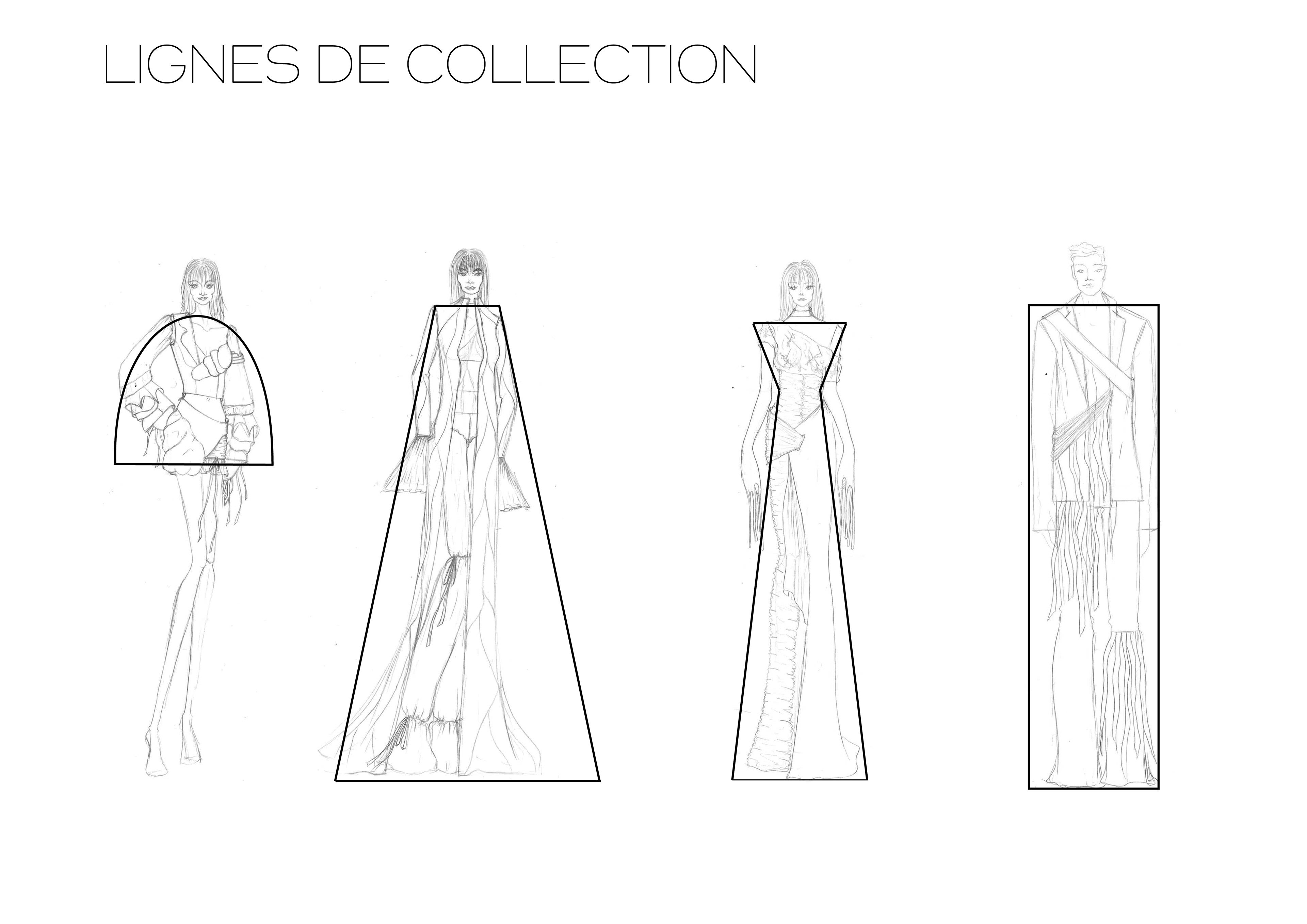 Lignes de collections