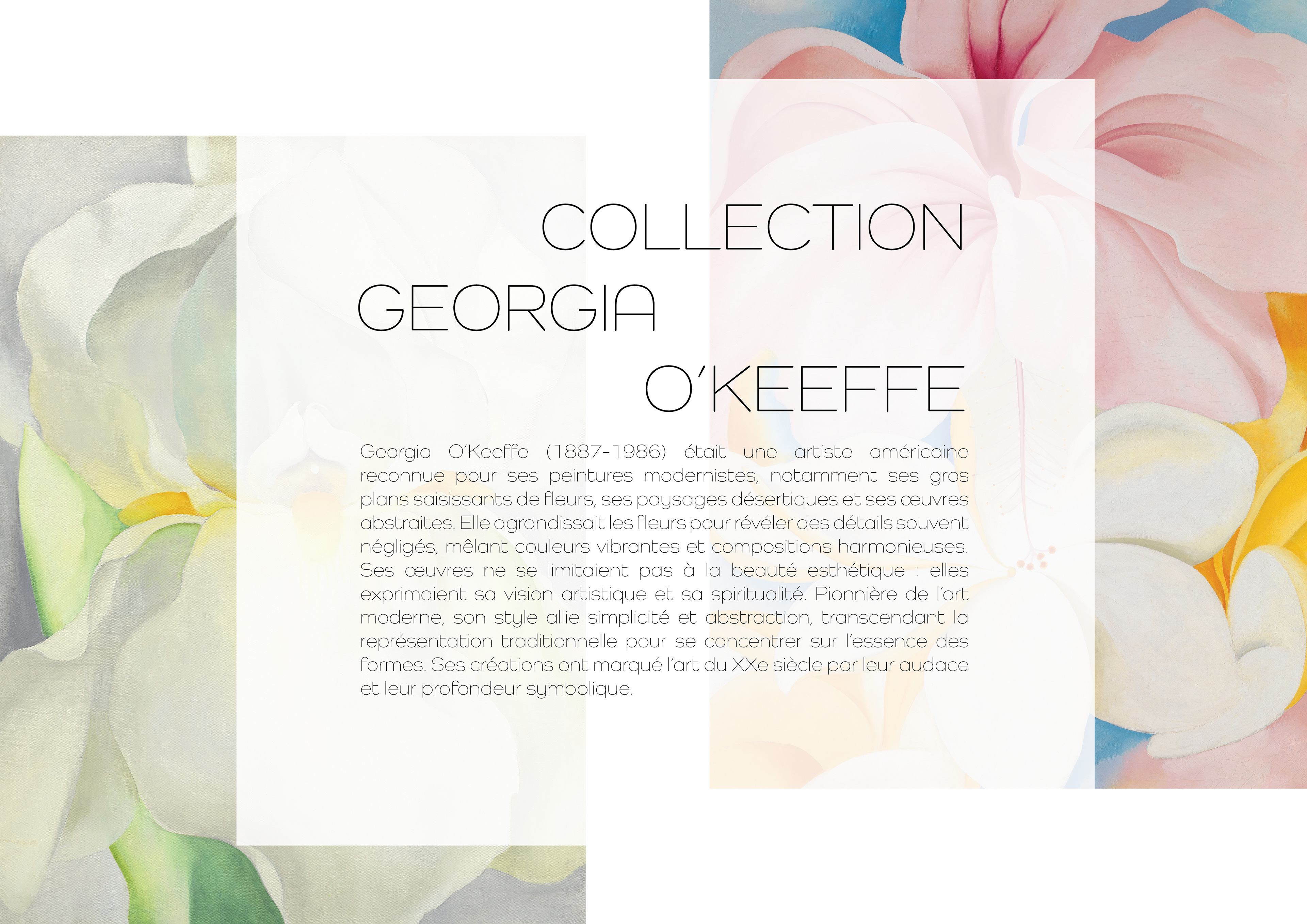 Collection Georgia O'Keeffe