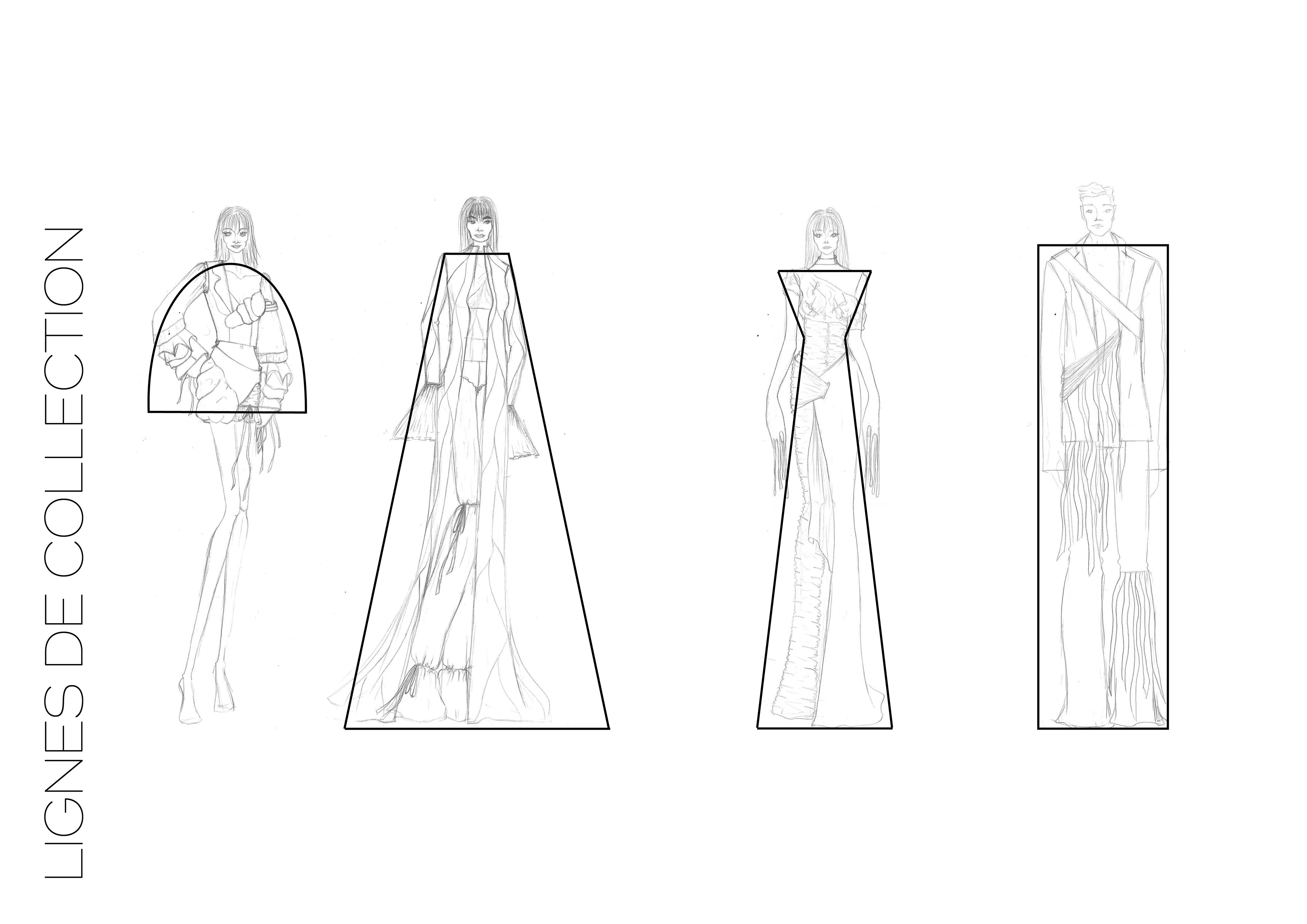 Lignes de collections