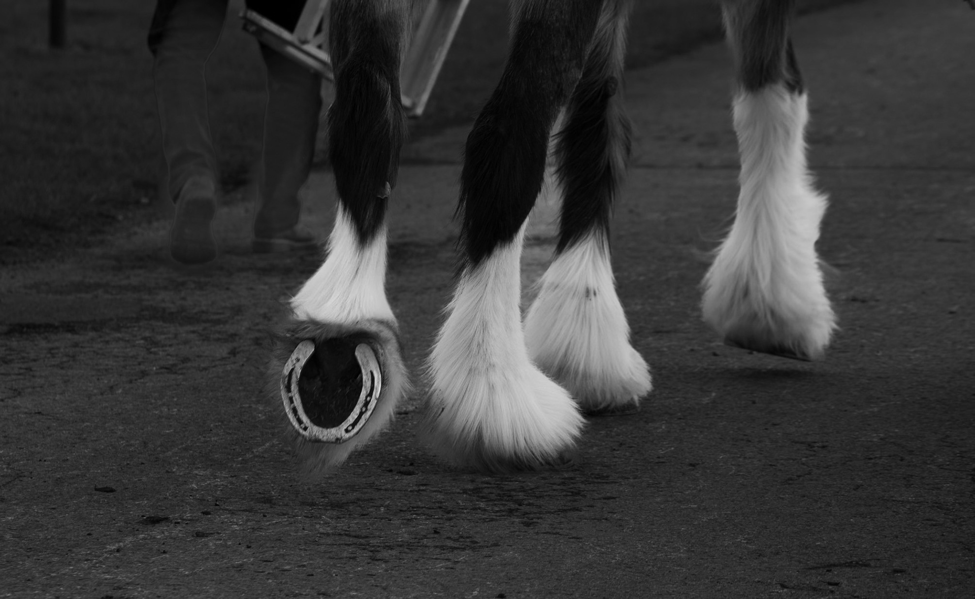 Newark Showgrounds, Nottinghamshire. March 2022.