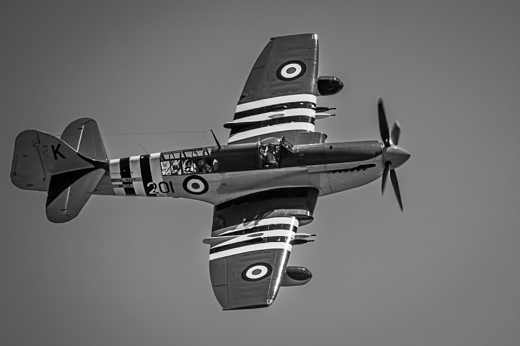 Fairey Firefly. Planes of Fame Museum, California. May 2012