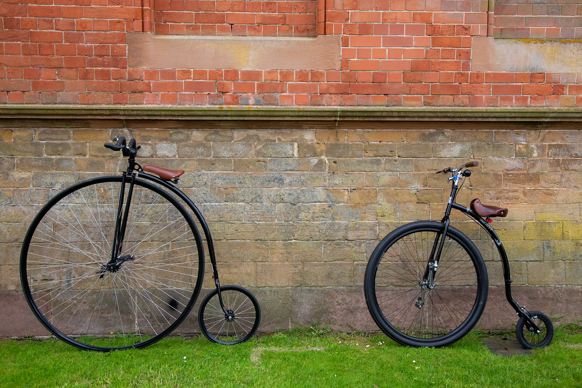 Proud momma and baby. Papplewick Pumping Station, Nottinghamshire. June 2022.