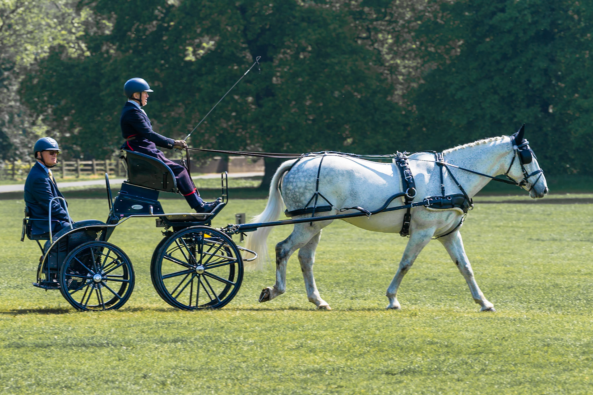 Because all white horses are unicorns. Thoresby Park, May 2024.