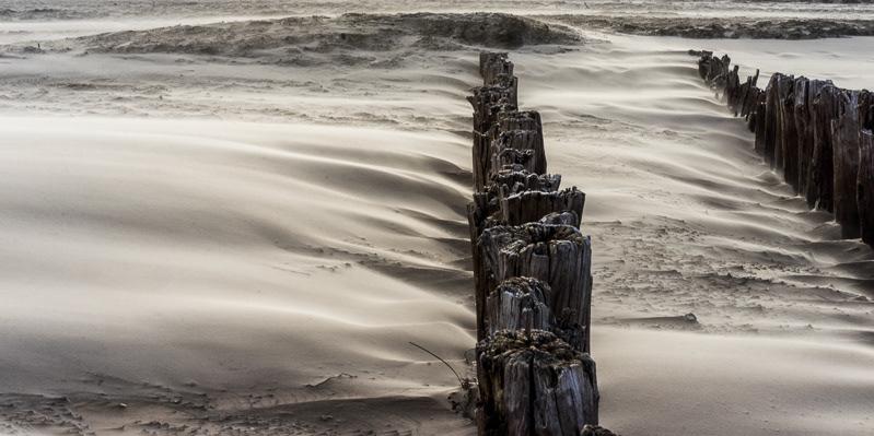 © Gerard Hermans