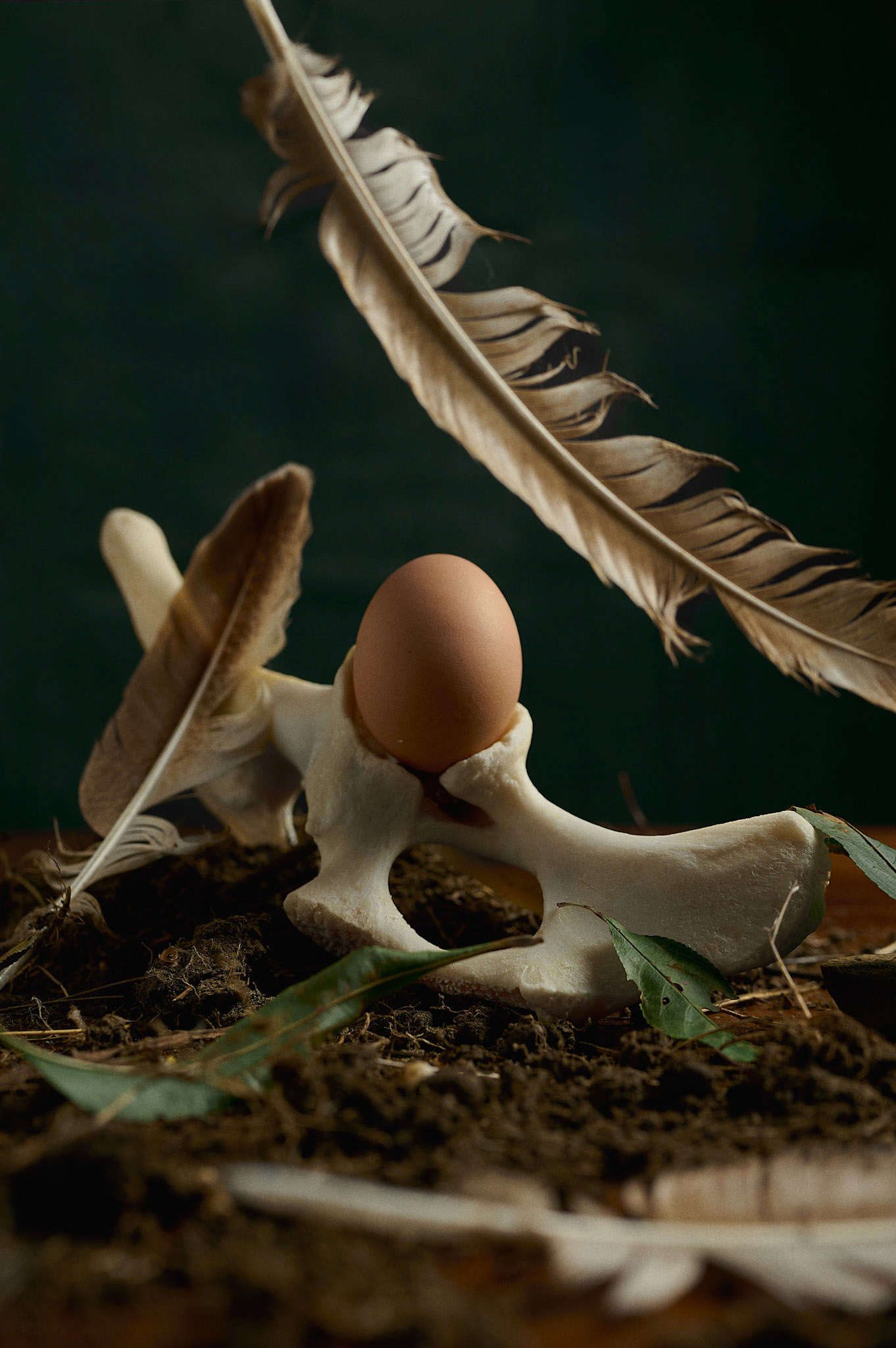 BIRTH