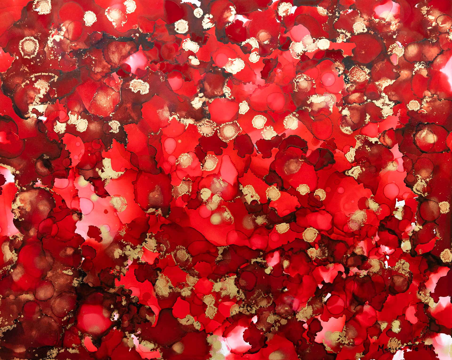Obliterate, 2019