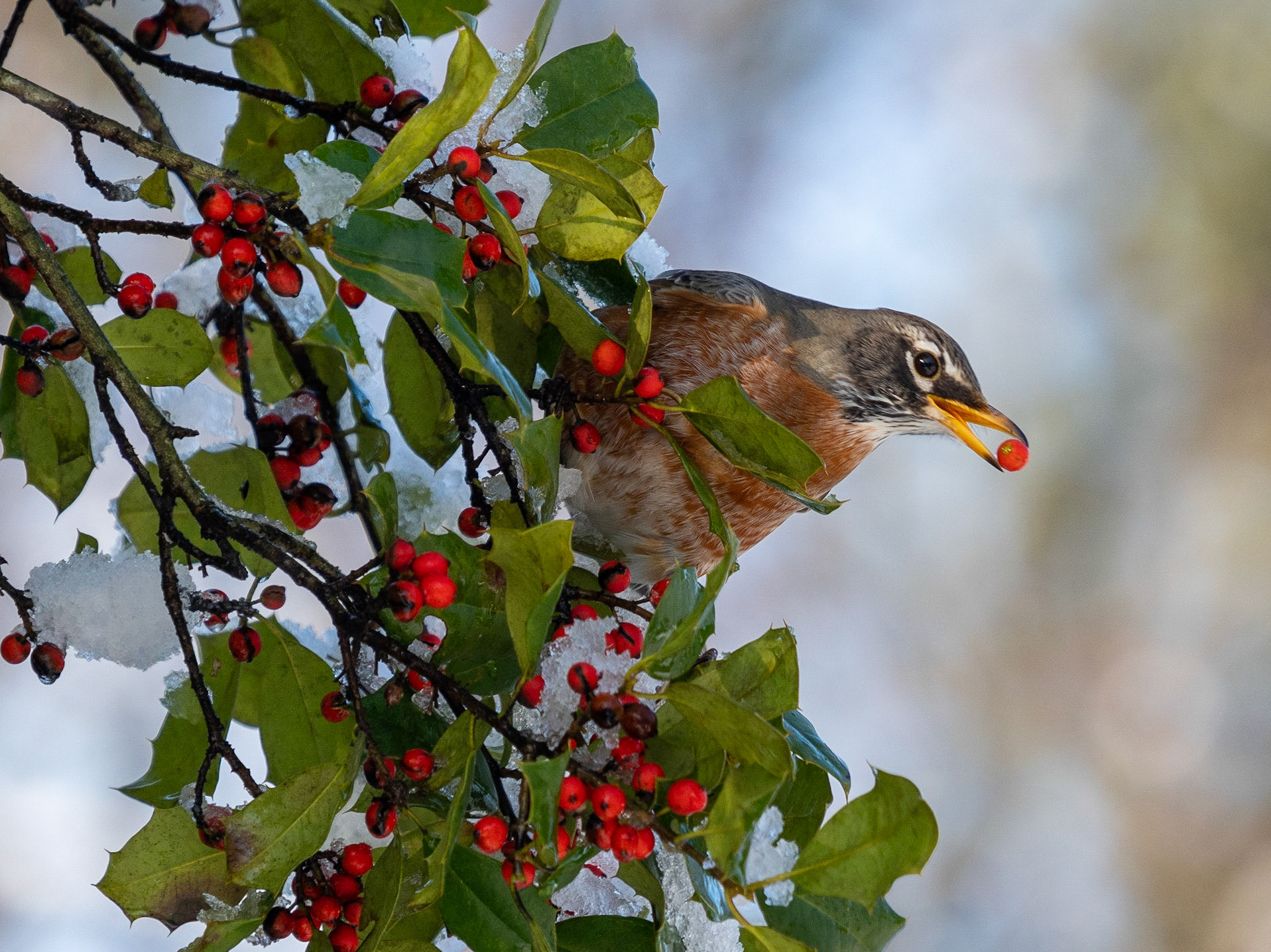 December