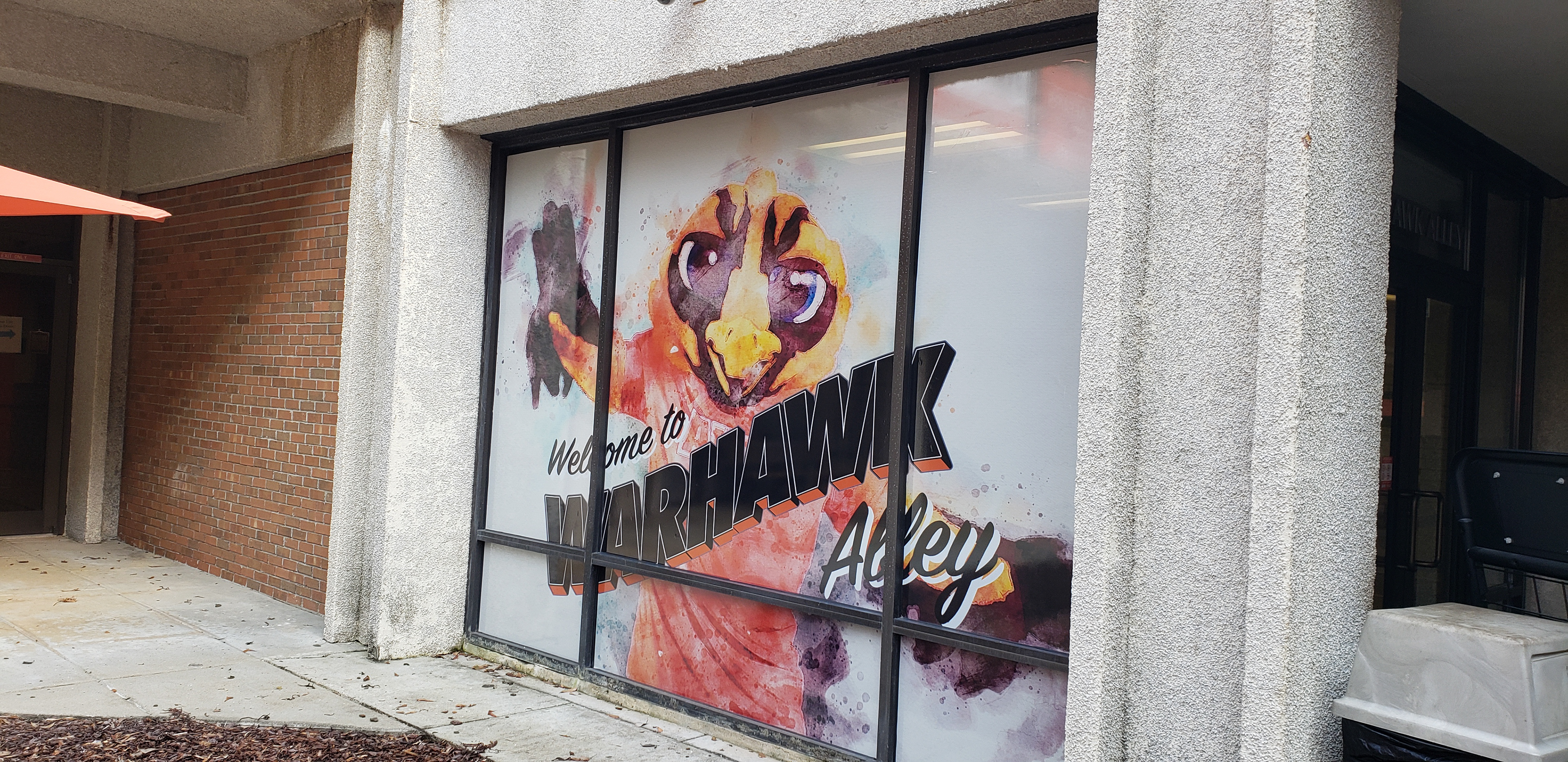 Transparent Vinyl