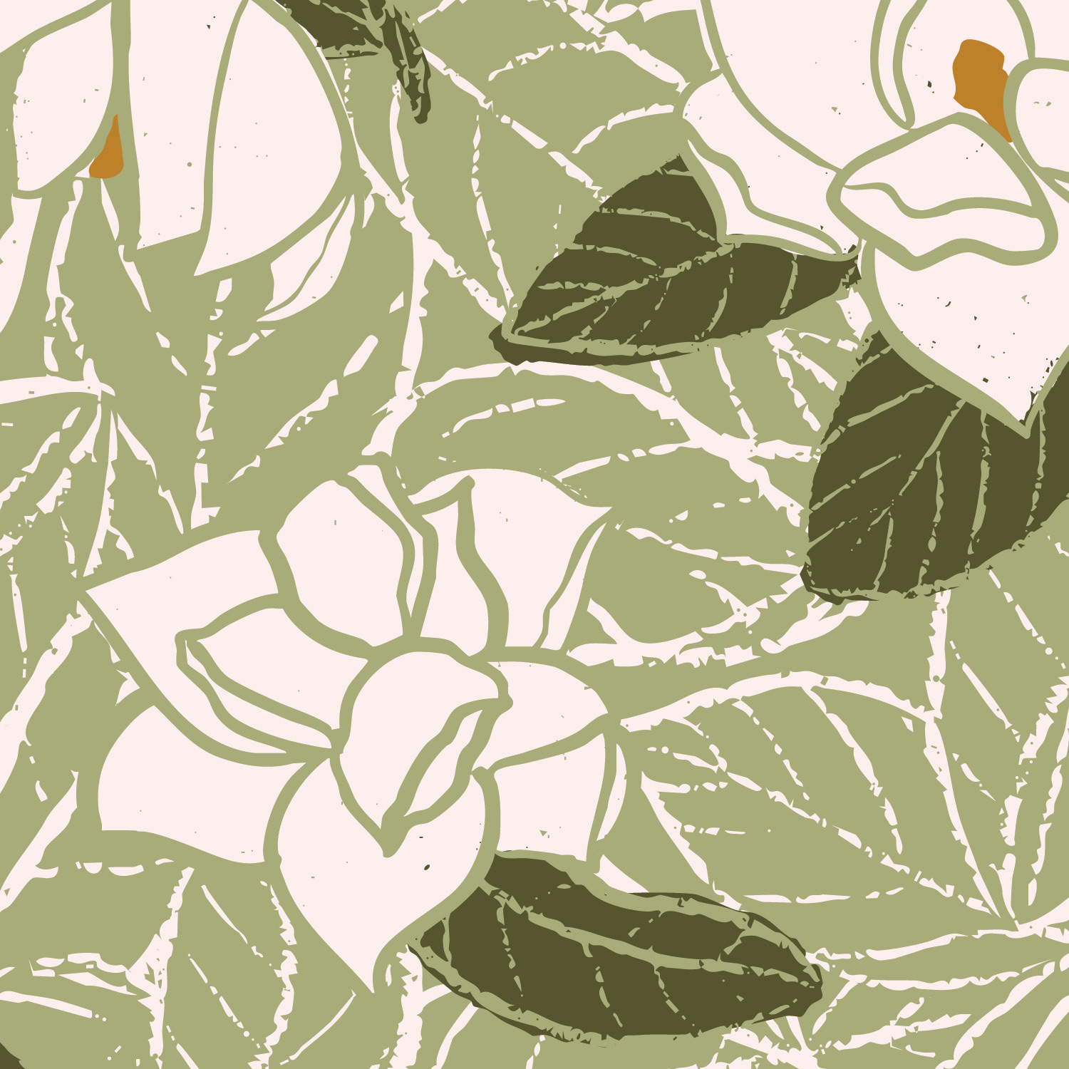 Magnolia