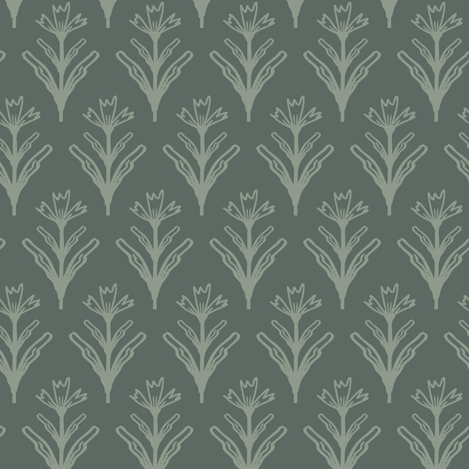 Carnation
