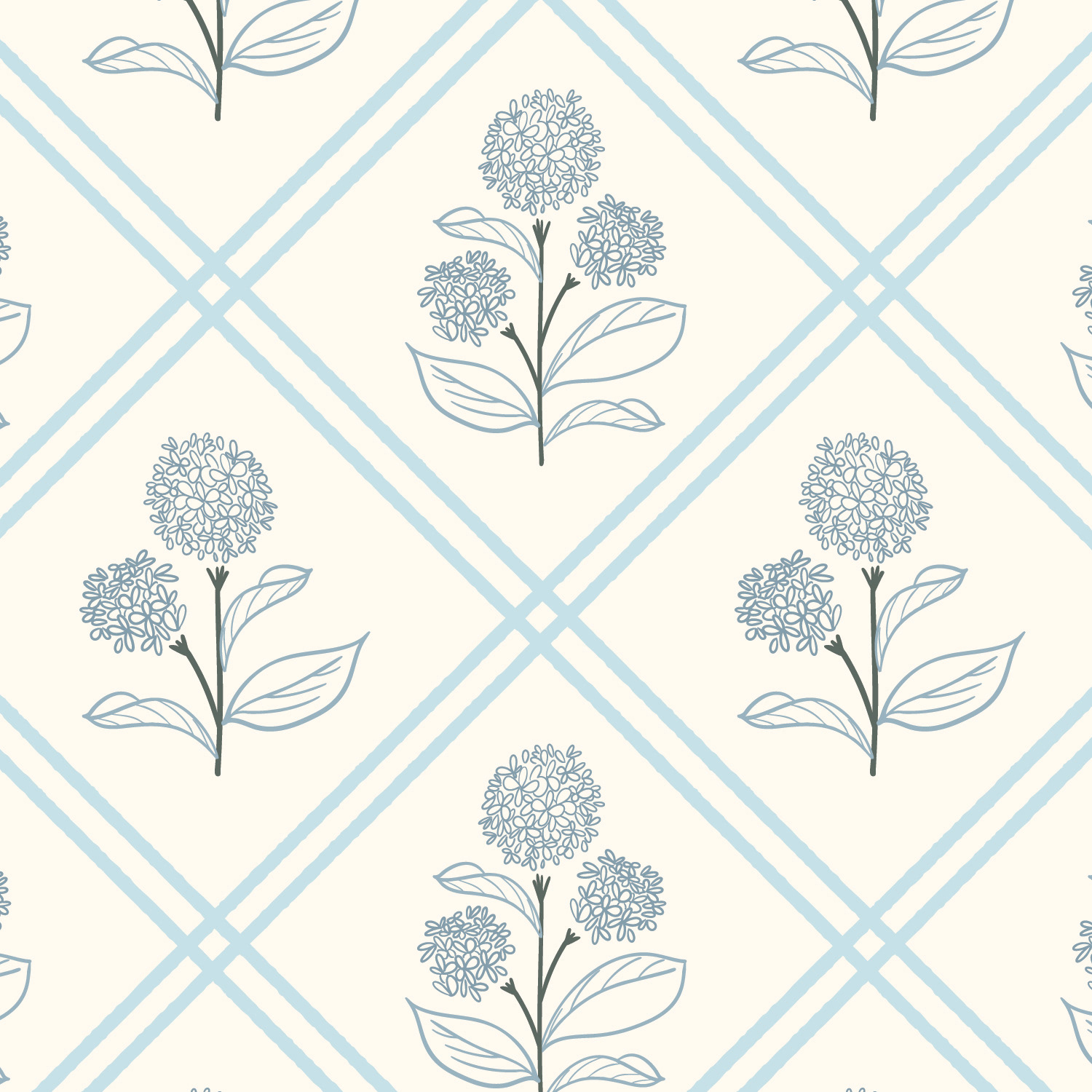 Hydrangea