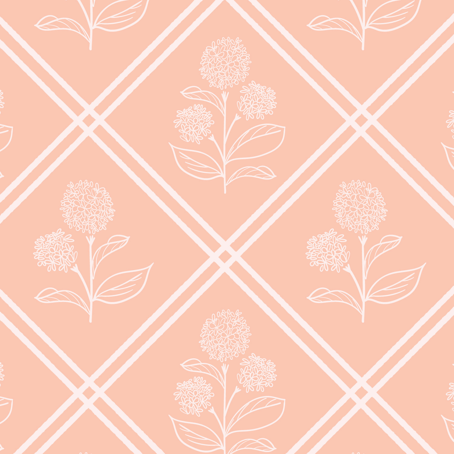 Hydrangea