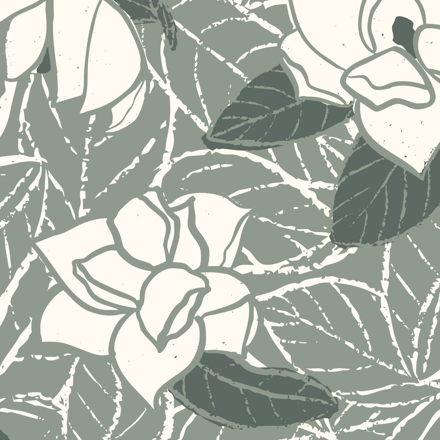 Magnolia