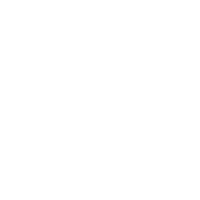 Luis Torres