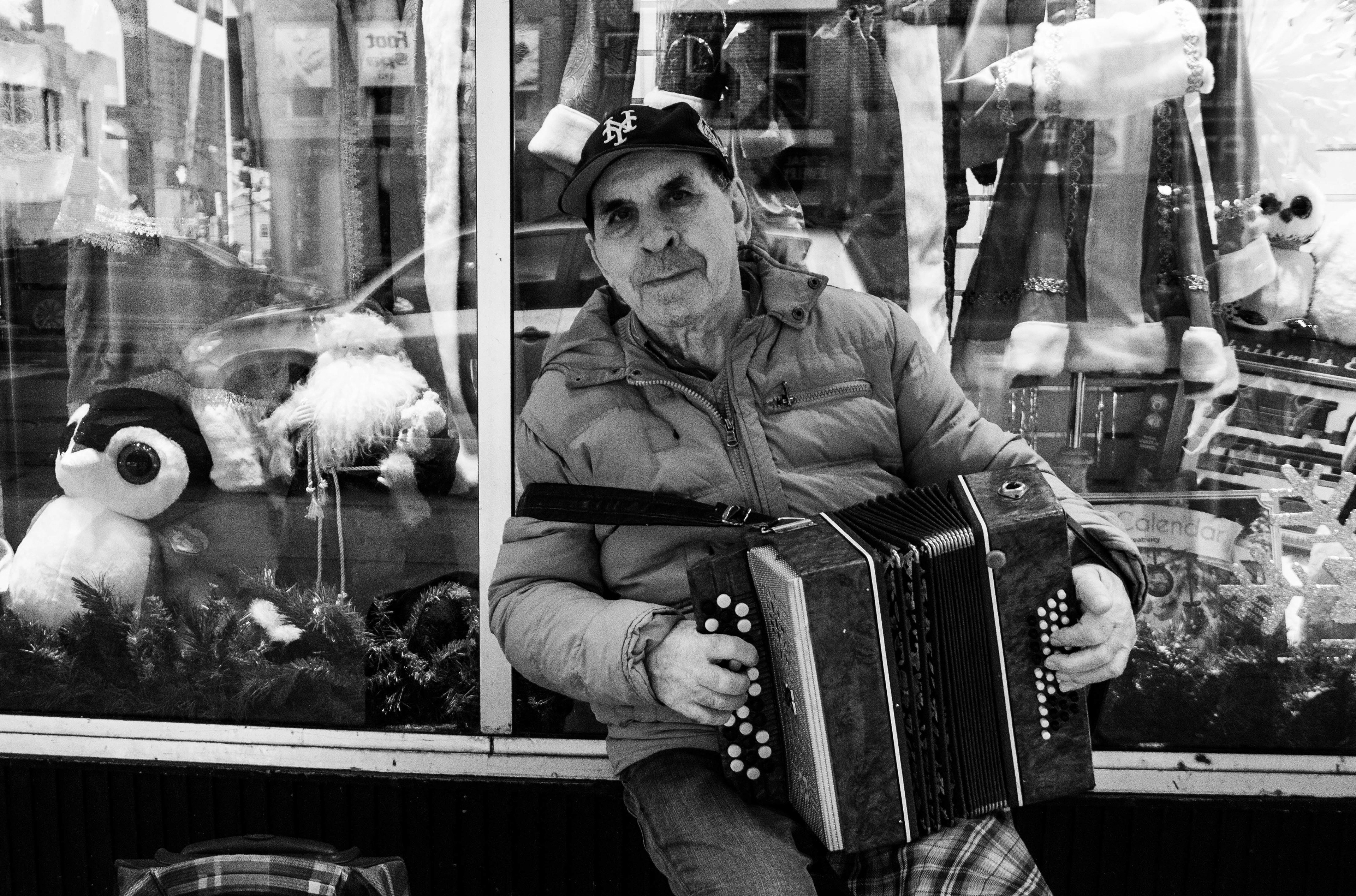 The Accordionist