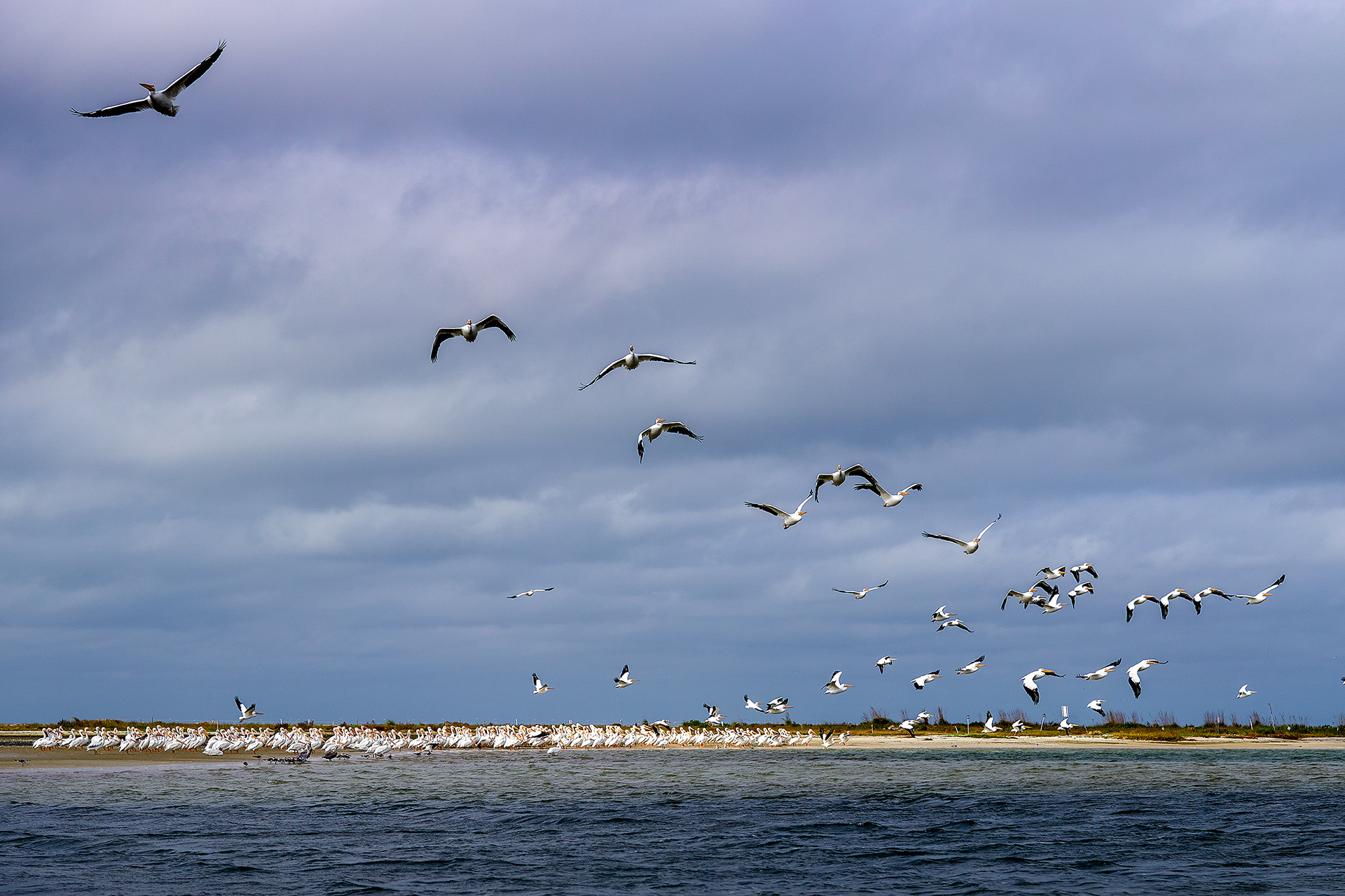 Fort de Soto Park (FL)
